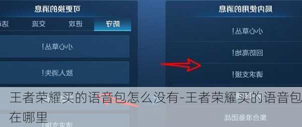 王者荣耀买的语音包怎么没有-王者荣耀买的语音包在哪里